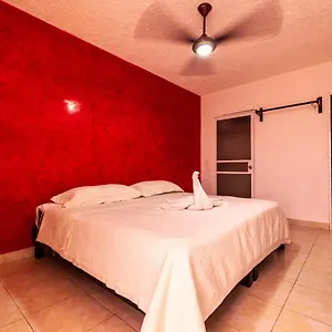 Hotel Caribe Express, Cozumel